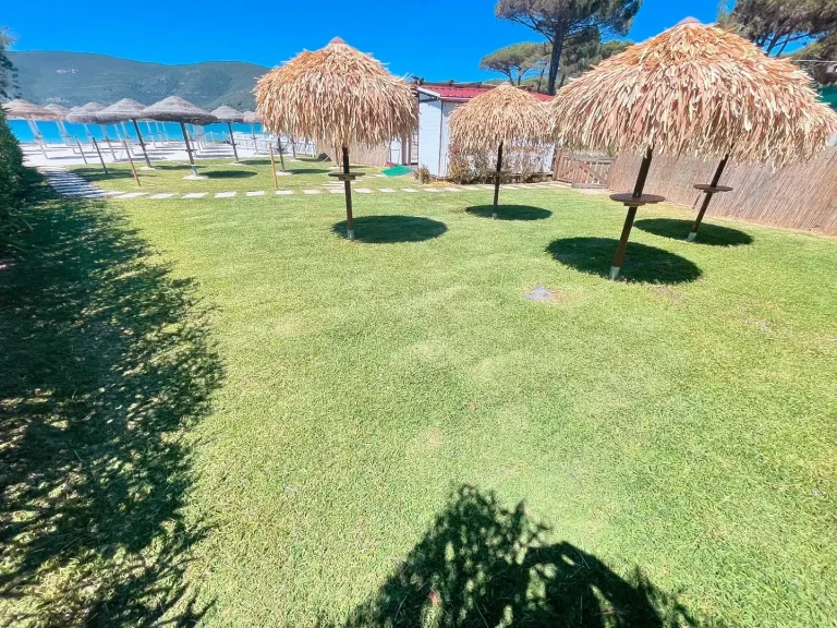 482F8192-98D4-4050-AEA8-A86642ABFAA7